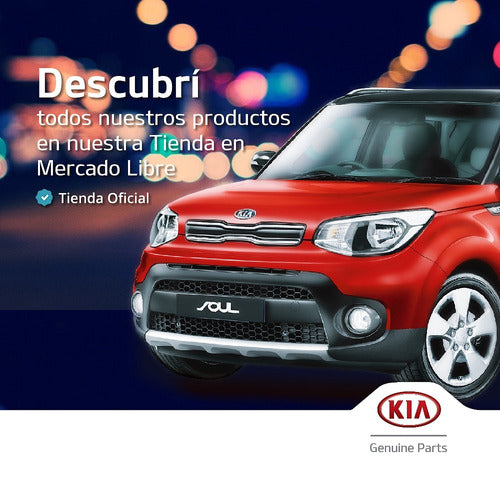 Porta Maza Delantero Lado Izquierdo Kia Soul Am 2