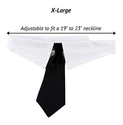 Midlee Formal Black Dog Tie Por 3