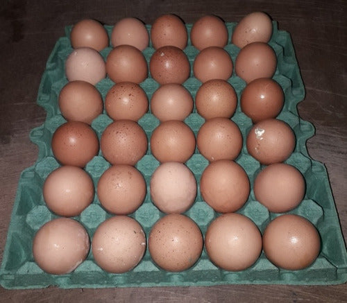 Organic Free-Range Pastoral Eggs with Orange Yolk - High Quality - Pack of 30 0