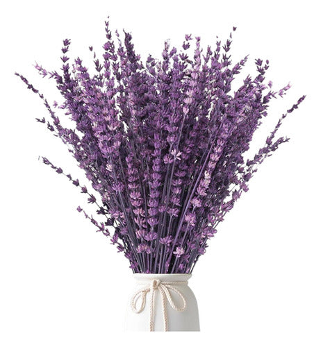 Flores Secas Lavanda 38-43cm Decoración Aromaterapia 50gr 0