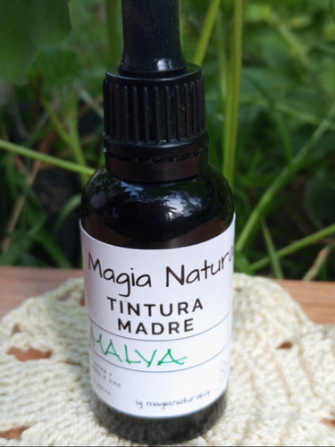 Tintura Madre De Malva 50 Ml. Magia Natural 1