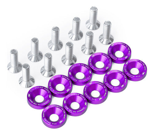 Anodized Violet Aluminum Washer and Screw M6 x 10 Units FTX 0