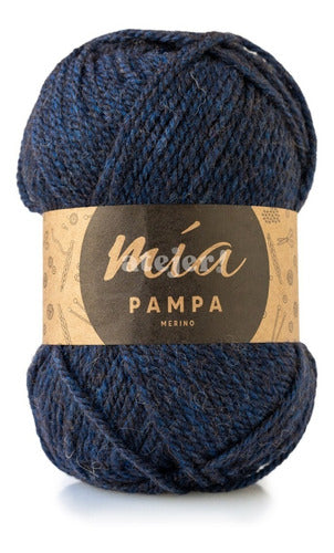 MIA Pampa Merino Semi-Thick Yarn Skein 100 Grams 21