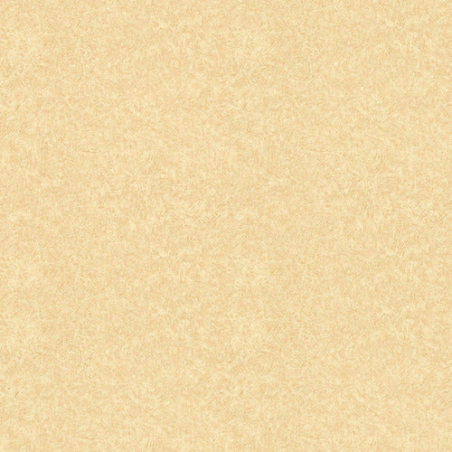 Muresco Vinyl Wallpaper Pietra 223 Soul 0