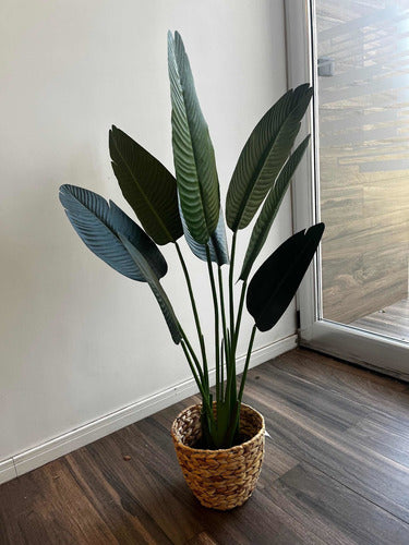 HYF Premium Artificial Bird of Paradise Plant 1.20 Mts 2