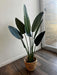 HYF Premium Artificial Bird of Paradise Plant 1.20 Mts 2