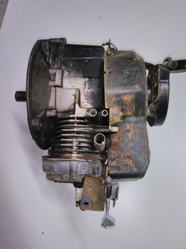 Motor  Podadora Nafta Tipo R Briggs Stratton Faltantes 1