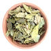 Boldo Dried Herb - 100% Natural X 100g 0