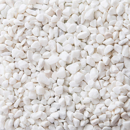 Only-Woman Decorative White Stones for Succulents and Cacti - 1 Kg 0