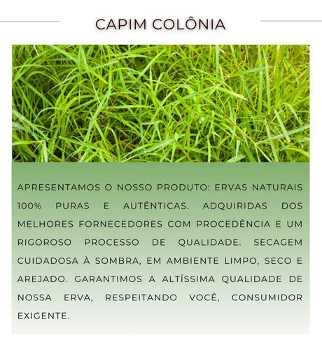 Chá De Capim Colônia-erva Pura De Alta Qualidade 30g 4