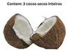 3 Cocos Secos Inteiros C/casca Cocada Nucífera 2