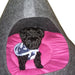 PF Igloo Thermal Pet Bed with Cushion 42x42 4