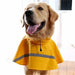 JWPC Dog Raincoat - Adjustable Waterproof Jacket for Dogs 1