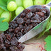 Black Seedless Sultana Raisins Pouch 1000g 4