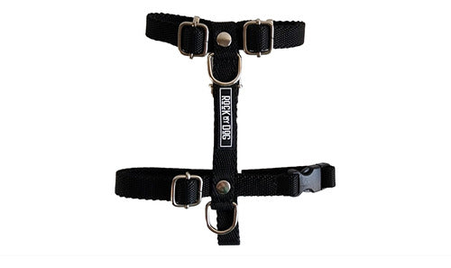 Adjustable Small Size Harness for Small Breeds - Mini Poodles, Dachshunds 49
