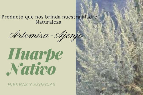 Huarpe Nativo Artemisia Hierba Santa - Ajenjo X 100 Gms 0