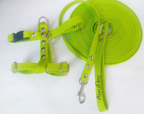 Alma Pets Accessories: Harness + Leash for Small Dogs + Seatbelt 1