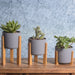 Mini Succulent Cactus Planters N8 Nordic Set of 3 14