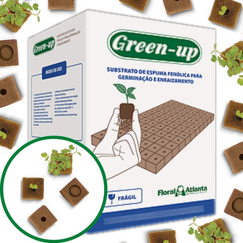 Green Up Phenolic Foam Box Without Perforation - Hydroponics 0