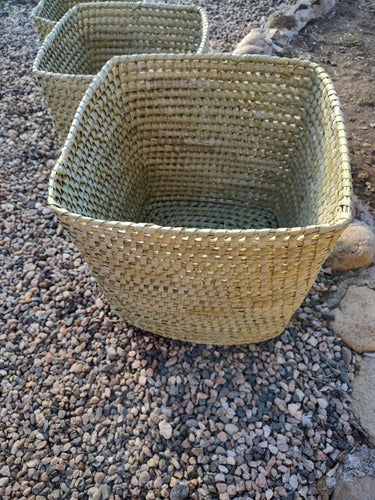 Generic Woven Planter in Caranday Palm 30x30x30 3