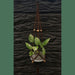 Handmade Macrame Hanging Plant Holder with Wooden Beads 9