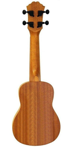 Fzone Ukulele FZU-D30S Soprano Sapele Natural with Case 1