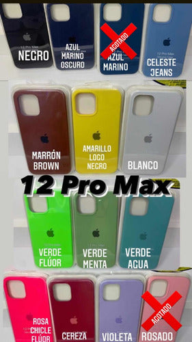 Silicone Case Funda iPhone 12, 12 Mini, 12 Pro, 12 Pro Max 7