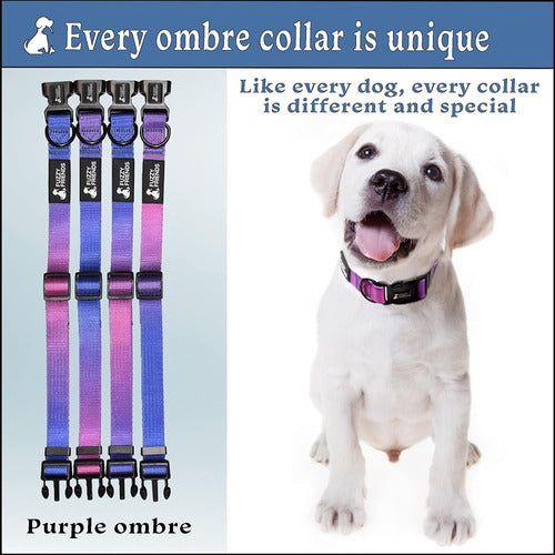 Fuzzy Friends - Collar Para Perros Purple Mood Ombre Con Jue 1