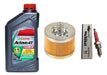 HADA CASTROL Kit Service Bajaj Rouser 135 Filtro Aceite + Castrol + Bujia 0