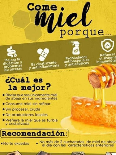 1/4kg Gourmet Premium 100% Pure and Natural Honey 3