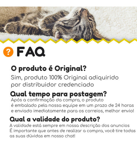 Support Papinha Cat 300gr Sachê Nutripharme Envio Imediato 3