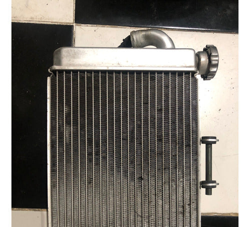 Benelli Radiator Tnt 302r 1