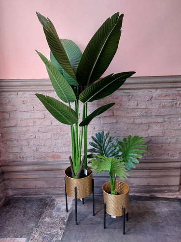 Planta Artificial  Tipo Bananero 80cm (fa208) 4