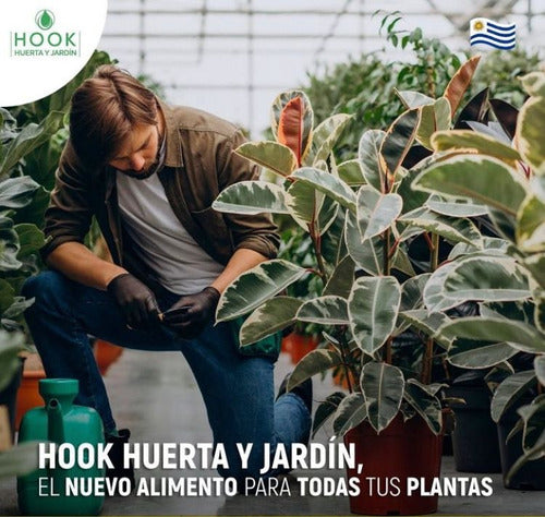 Fertilizante Hook Npk Huerta Y Jardín. 3