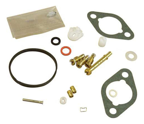 Briggs & Stratton Original Carburetor Repair Kit 715139 0