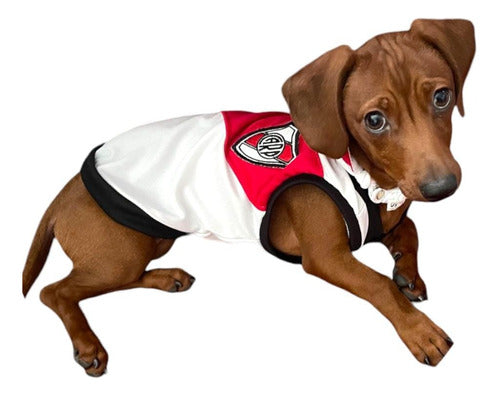 River Plate T-Shirt for Dogs and Cats Size L 1