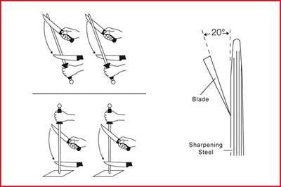 Chaira 23cm 4