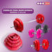2.5 Kg PVC Barbell Weights 30mm 770 Store 14