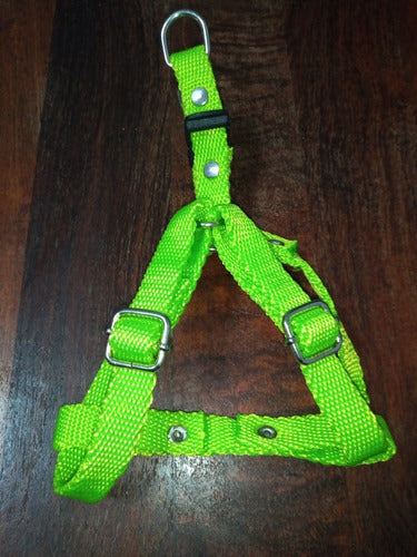 Camican Adjustable Harness for Small Dogs 30 Cm Petcamican 5