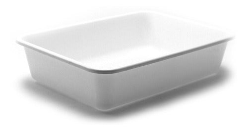 Gastronomic Tray 30x40x10. 10 Units Color Choice 1