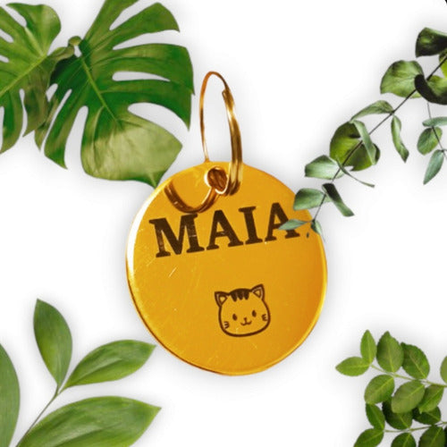 Golden Laser Engraved Pet ID Tags!!! 3