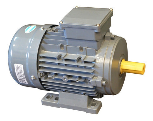 Czerweny Trifásico Motor 0,25 Hp 3000 Rpm - Eje 11 0