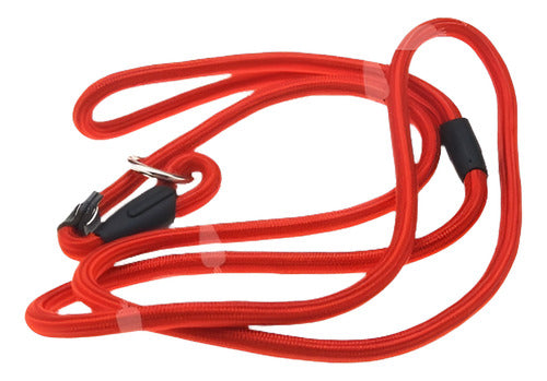 Nylon Red Dog Leash - Slip Cord Walking Lead 0