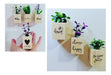 HandMade Mini Plant Pots with Magnet and Artificial Plant Set 3