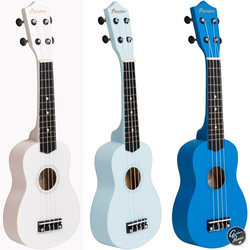 Premium Soprano Ukulele Pack Colors with Tuner, Case, and Pick 4