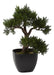 Nearly Natural Cédar Bonsai Artificial Tree 4966, 15 Inches 0