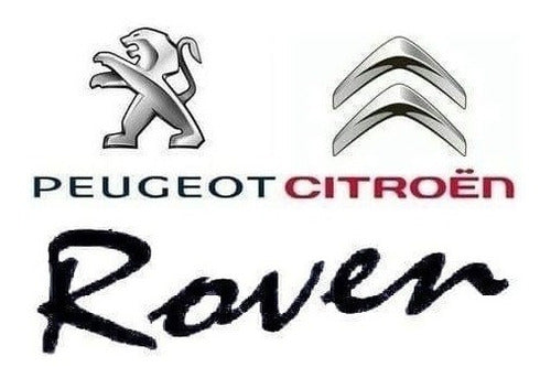 Clutch Fork Assembly Peugeot 206 1