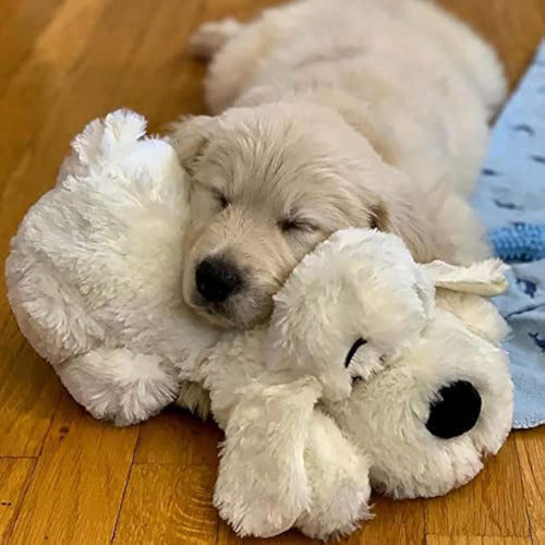 Smart Pet Love Snuggle Puppy Behavioral Aid Toy, Golden - Smart Pet Love, Juguete Para Acurrucarse De Ayuda