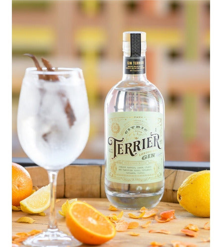 Terrier Gin Citric London Dry 700ml + 2 Schweppes Tonic 1.5L 3