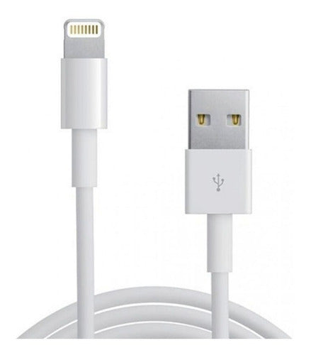 Cable iPhone Usb Lightning 2 Metros Datos En Caja 1